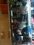 Raihan ...