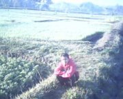 Dimas Subhan
