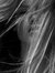 Rebekha...
