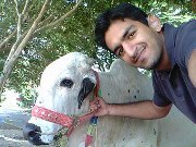 Faisal Rasheed