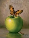 Butter Fly