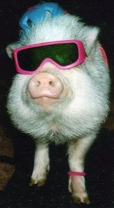 Natálie Jandáková