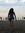 Agata W...