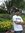 Waqar Khan