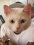 Gary