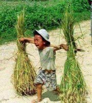 Thuan Ninh