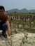 Lipan Z...