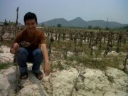 Lipan Zhang