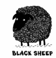 BlackSheep