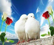 لامين العباسي