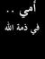 Ahmad T...