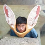 Daryl Yu