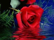 Subham Paul