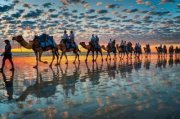 Ahmed Hossam