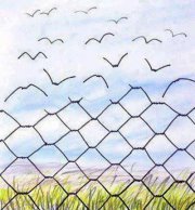 هبة مصطفى الشناوى