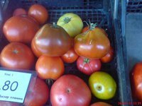 Вискяр Градинаров