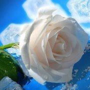 هند الخزرجي