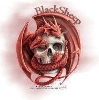 Christopher Vanderstaay