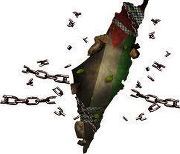 معتصم النبالي