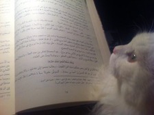 الشيماء الظاهري