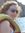 Elise G...