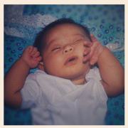 Lovelle Licanto