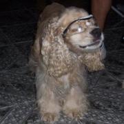 Andres Arguello