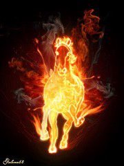 عرفات الحكيمي