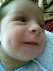 محمد الطيراوي