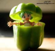 Doaa Dody
