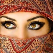 الزنبقة السوداء