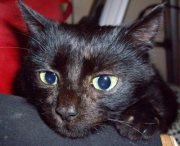 Анелия Георгиева