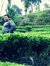 Abdul M...