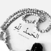 Tareg Mohammed