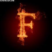 فيصل الحربي