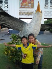 แมวเล้า เมาแล้ว