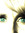 Holly (mrsholly) | 1 comments
