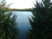 விஜயா சித்ரா