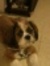 Itisha ...