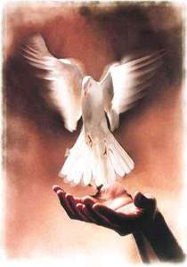 Wafa2hm وفاء الحسين