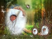 محمد فروانة