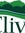 Clive Public | 6 comments