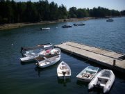 Lynn Newman- sigurdson