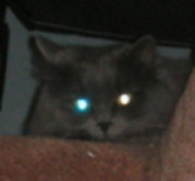 Goodreads profile picture for @Misc