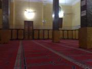 مصطفى الكوت