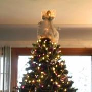 Lisa Vandenberg keck