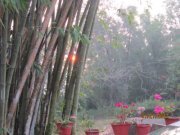 Bismi Gopalakrishnan