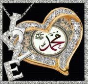 Abeer El -h