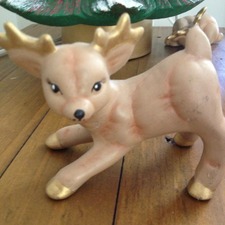 Amy Cooper