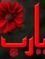 كنانة ا...